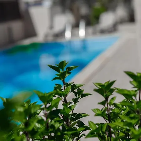 Luxury * أيا نابا